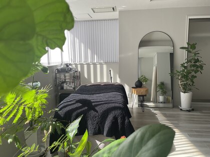 ルリアン(LeLien)の写真