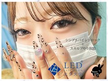 バニーラッシュ(Bunny Lash)/【バインドロック+スカルプ】