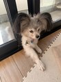 メル(Mel.) 天ちゃんの観察が趣味です(笑)可愛すぎて悶えてます…☆