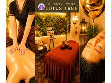 ロータスツリー(LOTUS TREE)