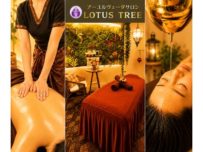 ロータスツリー(LOTUS TREE)の写真
