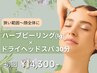 【初回限定★肌質改善】100%天然ハーブピーリング1g+ ヘッドスパ30分 14300円