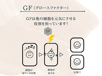 ケア ラウンジ ザ ファースト(THE F1RST)/グロースファクター詳細＊