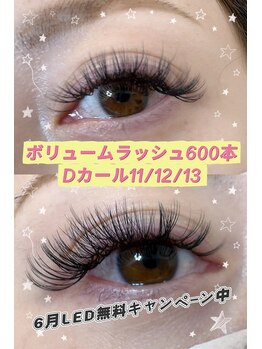 アオイ アイラッシュ 大久保店/ボリュームラッシュ600本、