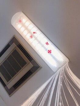 シャンデル(Shandell)/天井には！？