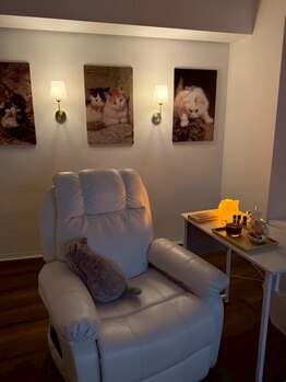 ヘッドスパで癒されたい