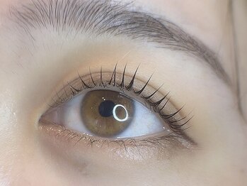 アイラッシュサロンラコタ 池袋東口店(RACOTA)/ラッシュリフト