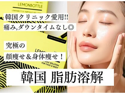 ディア(Deer)の写真