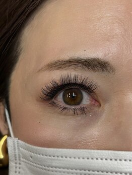 アイラッシュサロン ステルラ(stella)/シングルラッシュ付け放題