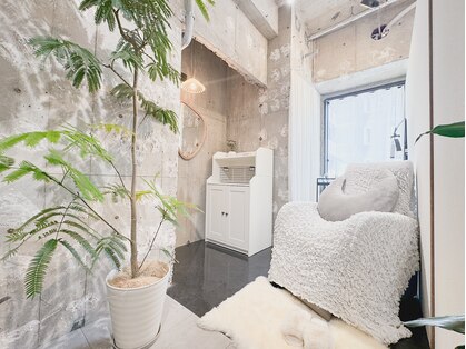 ルーム(room)の写真