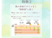 お顔の研究所/特徴１