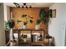 シンユウの雰囲気（【施術ルーム】木や植物のある癒しの空間で施術をします。）
