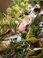 リノ(Rino) 植物が好きです♪