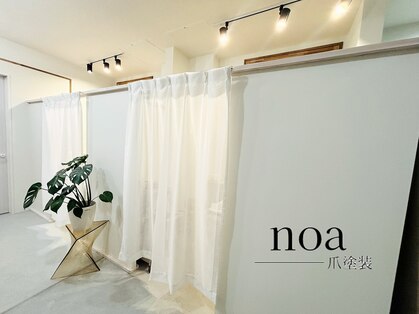 ノア(noa)の写真