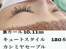 シルフ 石橋店(Sylph)/カシミヤセーブル