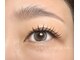 リノ アイラッシュ(Lino eyelash)の写真/大人気!ナチュラルデザイン◎束感お仕上げでナチュラルだけど華やかなお目元に!朝の時短にも◎