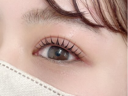 ブロンズアイ(BRONZE EYE)の写真