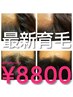 【8周年クーポン】最新ヘアケア／¥13200／¥8800