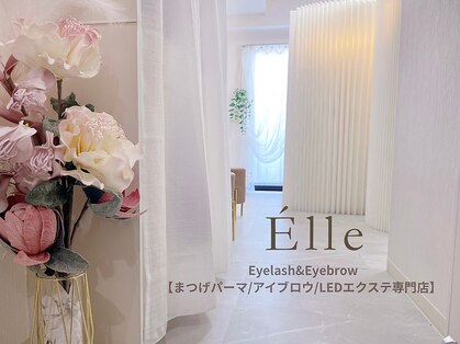 エル(Elle)の写真