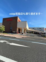 ソート(Sot.)/～宮崎駅からの道のり～