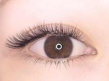 エステティックティアリィ サンマルシェ高蔵寺店(TiARY)の写真/《エクステの種類が豊富！》自まつ毛の負担を軽減しながらボリューム感のあるエレガントなお目元に☆