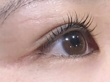 ピクシーボブ(Pixie Bob)/★根本から毛先までカール