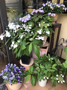 みもざ治療院/