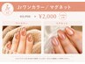 【Jr】ワンカラ/マグーネット　※オフ選択不要※詳細要確認