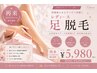 【再来】レディース足脱毛 ¥5,980-