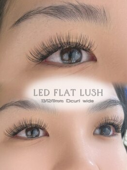 アテアイラッシュ 堺市駅店(ate eyelash)/LEDフラットラッシュ付け放題