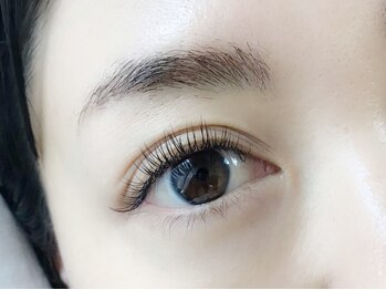 リリエット(Lillette)/【EYE】フラットラッシュ120本