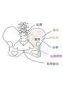 ココロカラダメディカル 西船橋店 骨盤の構造についてブログでご紹介！