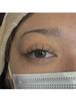 ピクシーボブ(Pixie Bob)/*マツエク120本*