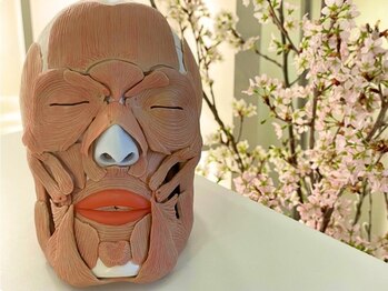 ポ ワール(Poir)の写真/【ほうれい線/全体のもたつき/目元ケア】何とかしたい!たるみ改善★リピート多数!表情筋ひき上げリフト7800