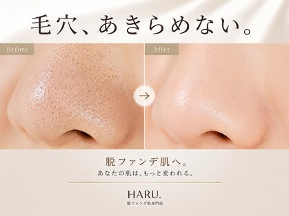 ハル(HARU.)の写真