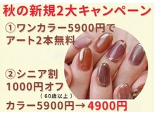 【新規限定】ワンカラー64900円でアート2本無料☆
