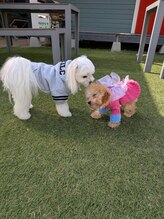 リン 大村本店(Rin) 川原 万里子