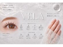 ヴェラ(Vela)