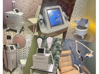 ブルーローズ(Blue Rose)