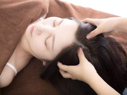 ケアライン(Careline)の写真