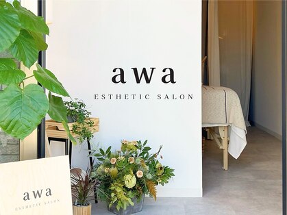 アワ(awa)の写真