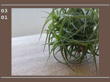 キュアフロウ 新潟巻/3月/善き日々をお過ごしください
