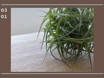 キュアフロウ 新潟巻/3月/善き日々をお過ごしください