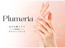 プルメリア(Plumeria)