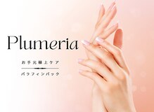 プルメリア(Plumeria)