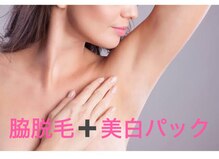ブルーローズ(BLUE ROSE)