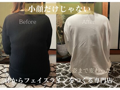 ロータス(LOTUS)の写真