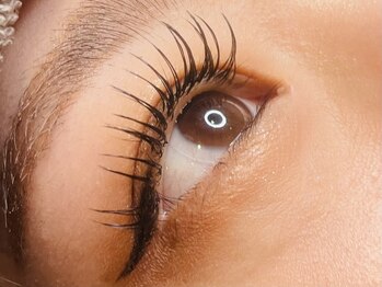 ラシク ベル(Lashiku Belle)/フラットラッシュ