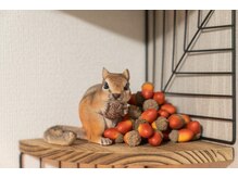 ジェムの森/店内風景