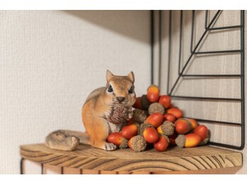 ジェムの森/店内風景